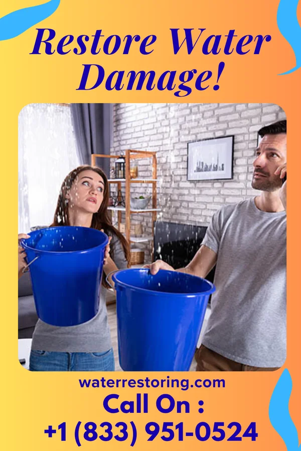 water restoration Prestige Water Repair Pros Darlington