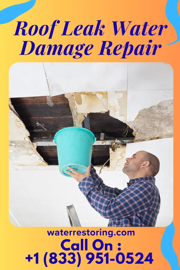 Roof Leak Water Damage Repair in Darlington, MO