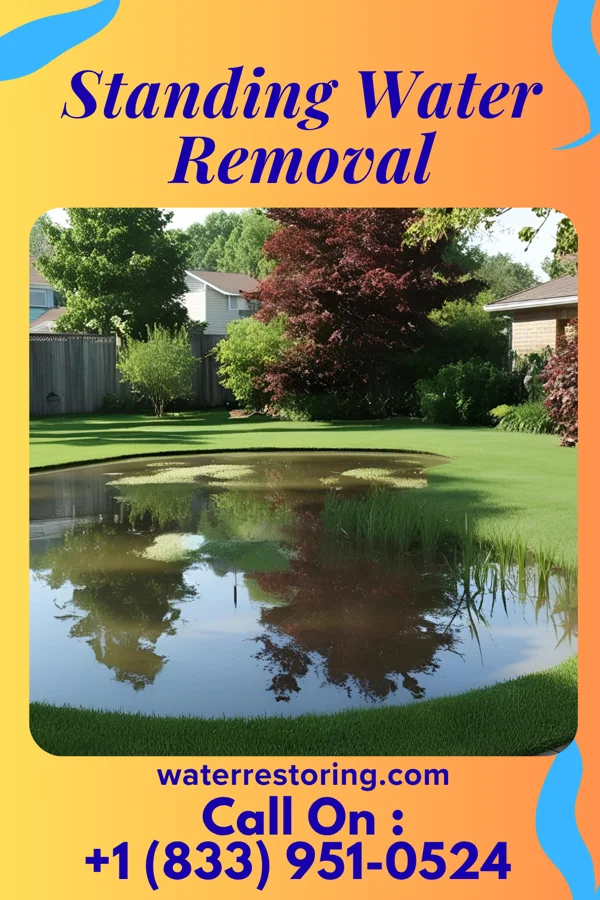 Standing Water Removal in Darlington, MO
